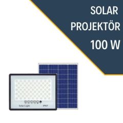 PROJEKTOR 100W